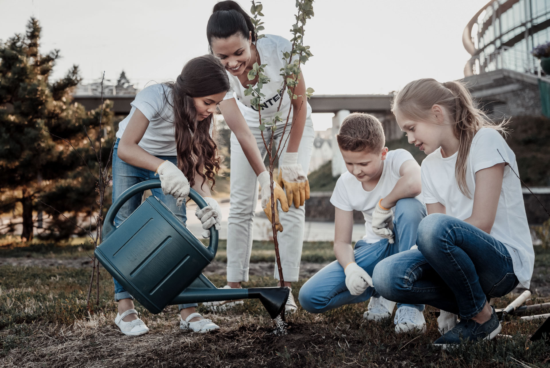 Family planting a tree