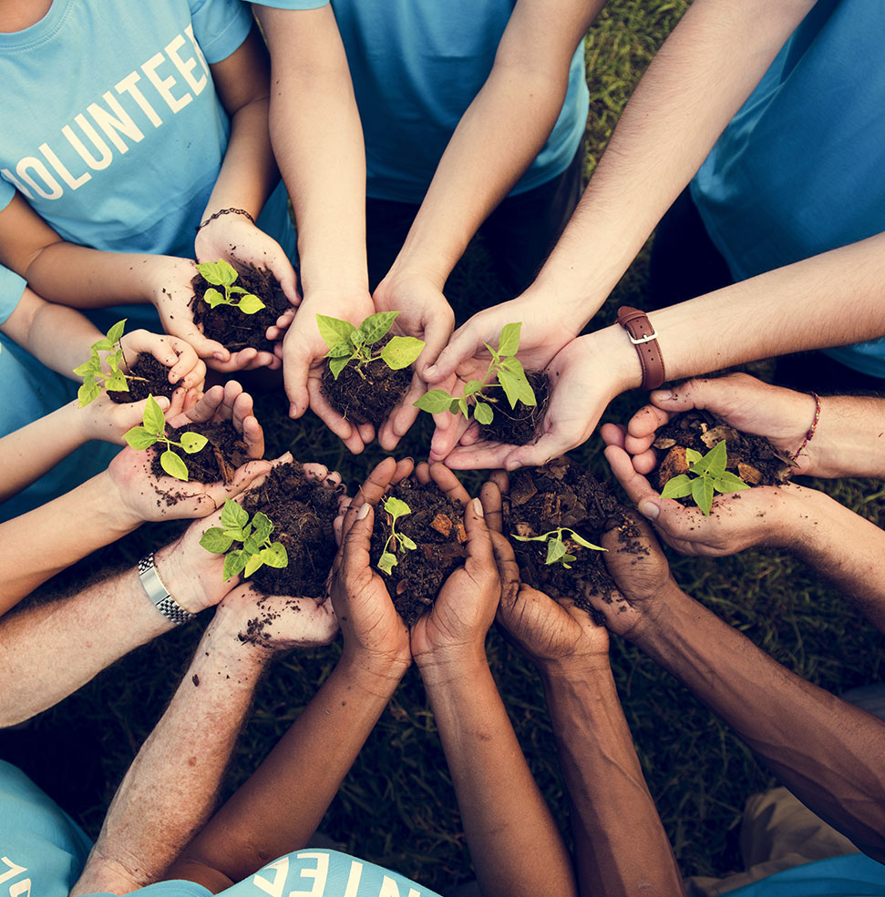 Group of volunteers holding plants